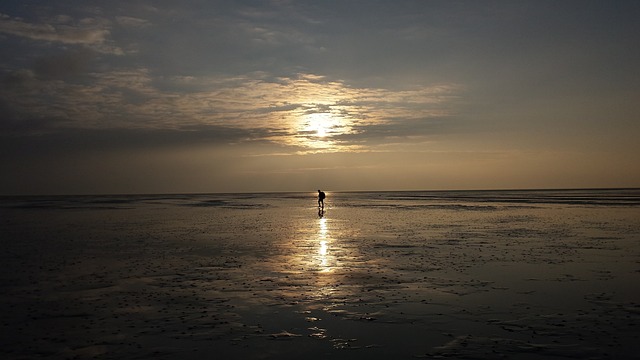 Wadlopen 荷兰 瓦登海 - 上的免费照片