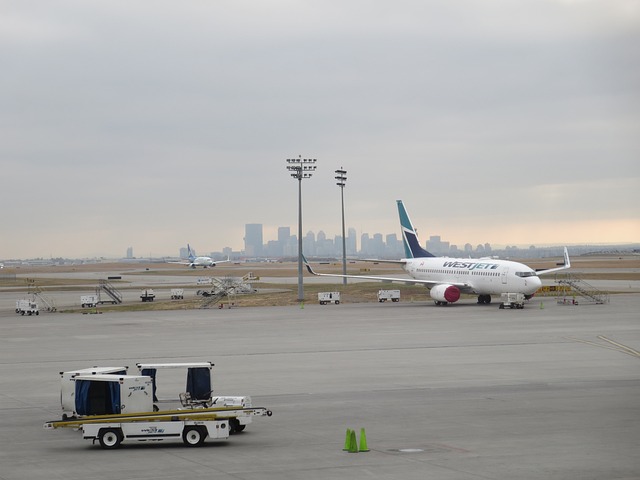 西捷航空 飞机 航空公司 - 上的免费照片