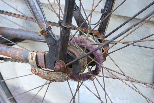 自行车 自行车轮毂 老Velo - 上的免费照片