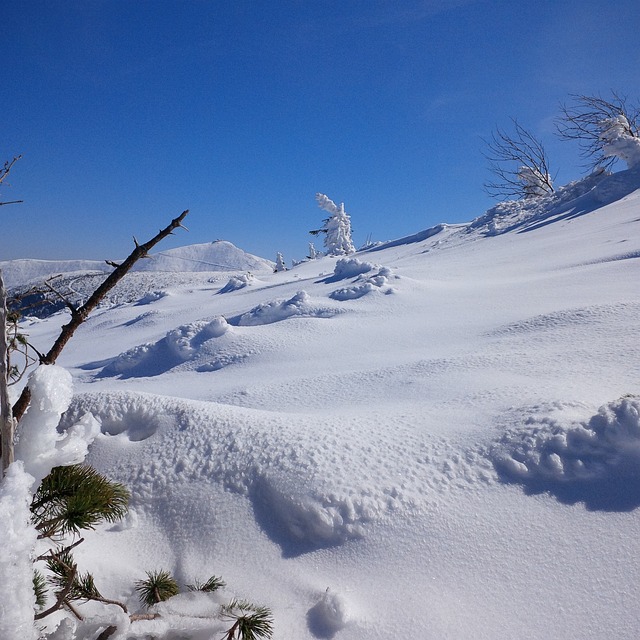 冬季 巨山 雪 - 上的免费照片