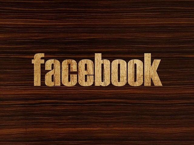 Facebook 脸书 脸书标志 - 上的免费图片