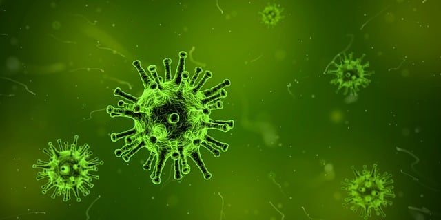 病毒 显微镜 感染 - 上的免费图片
