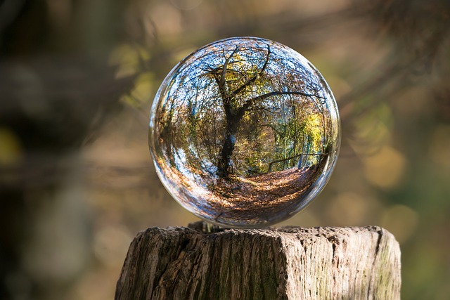 玻璃球 落下 树 - 上的免费照片