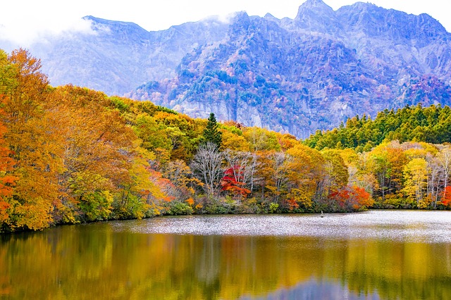 日本 户隐 秋季树叶 - 上的免费照片