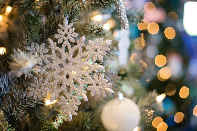雪花 装饰品 圣诞树 - 上的免费照片