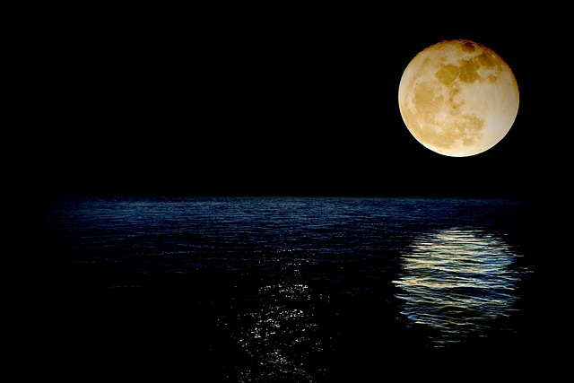 Luna 极好的 超级月亮 - 上的免费照片
