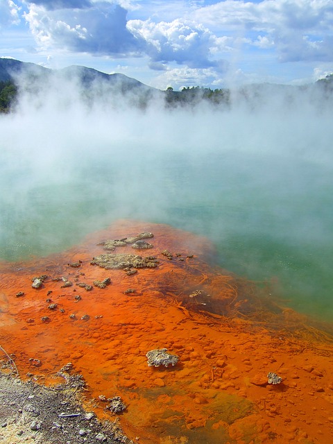 新西兰 罗托鲁瓦（Rotorua） 地热 - 上的免费照片