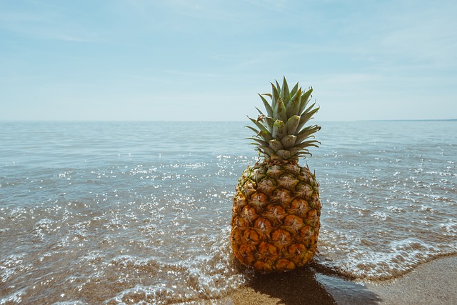 菠萝 海滩 热带 - 上的免费照片
