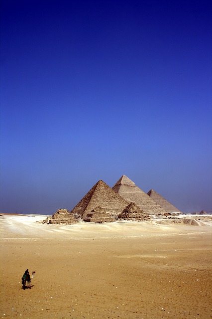 骆驼 沙漠 金字塔 - 上的免费照片