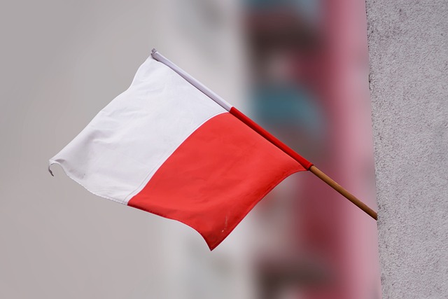 波兰国旗 独立 独立日 - 上的免费照片