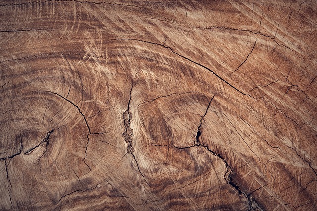 木头 棕色 木制的 - 上的免费照片