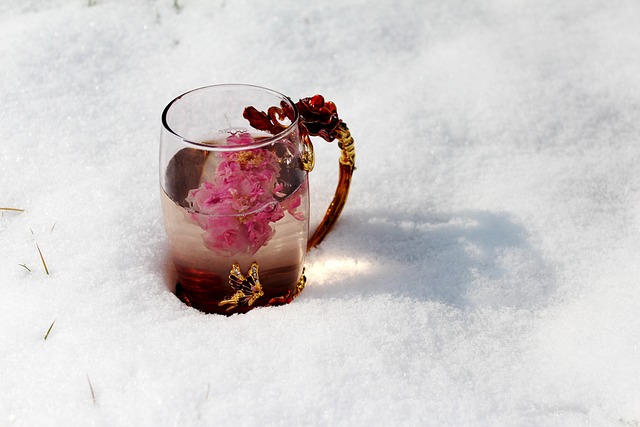 玫瑰花冠茶 珐琅杯 大雪 - 上的免费照片