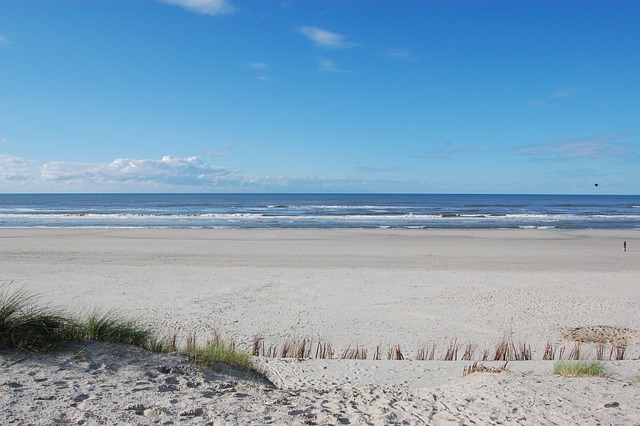 Ameland 海 海滩 - 上的免费照片