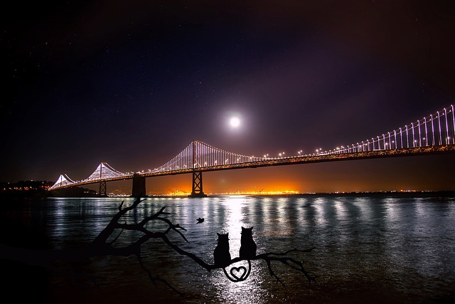 旧金山 奥克兰 海湾大桥 - 上的免费照片