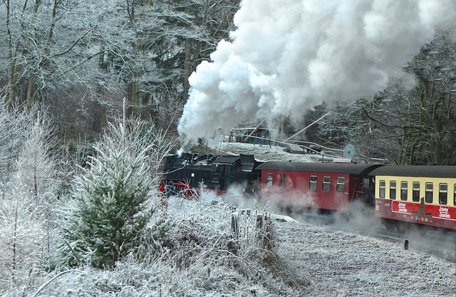 蒸汽机车 哈尔茨窄轨铁路 树脂 - 上的免费照片