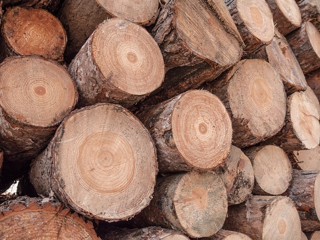 木头 树干 木匠 - 上的免费照片