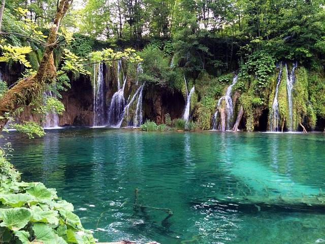 普里特维采湖 克罗地亚 自然公园 - 上的免费照片