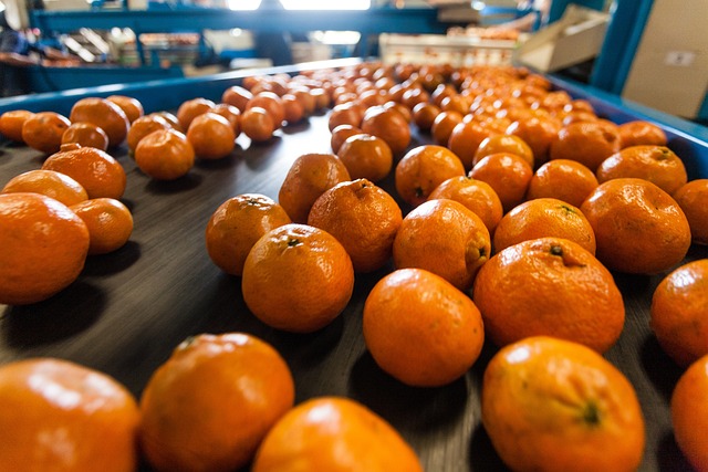 橙色的 生产 填料 - 上的免费照片