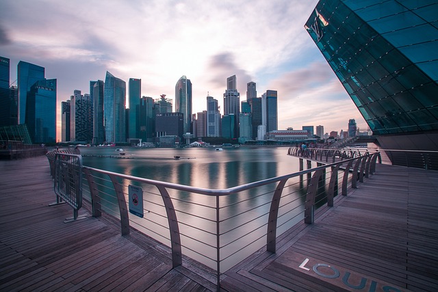 中央商务区 Marinarea 新加坡 - 上的免费照片