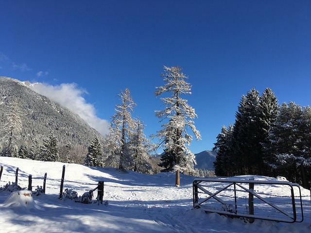 雪 景观 冬天 - 上的免费照片