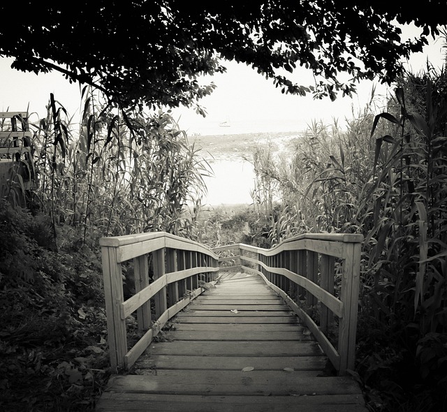桥 生活 黑和白 - 上的免费照片