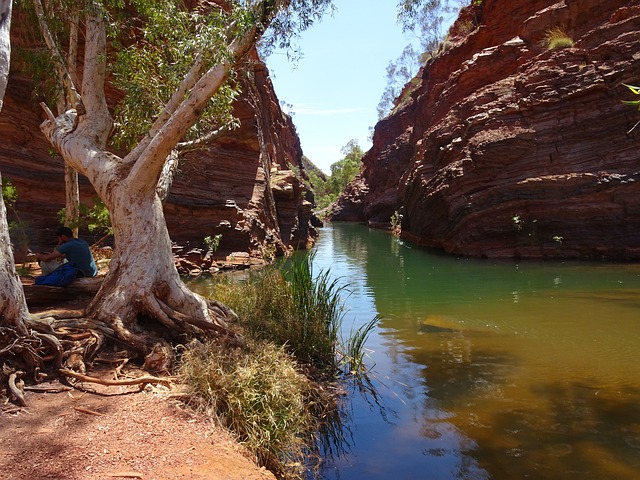 Karijini 国家公园 澳大利亚 仙境 - 上的免费照片