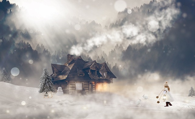 雪 小屋 冬天 - 上的免费照片