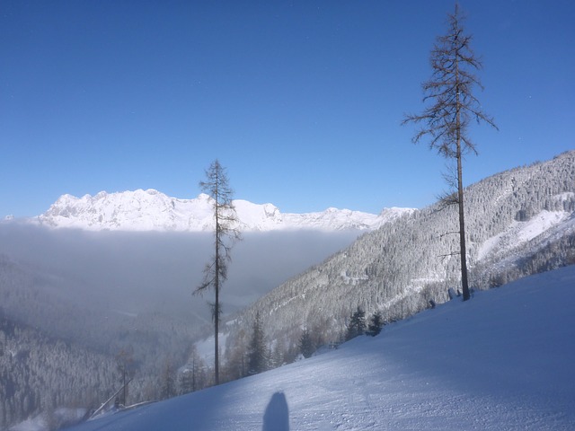 滑雪道 早雾 云层上方 - 上的免费照片
