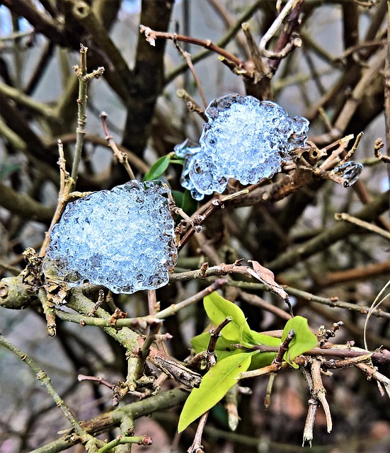 自然 雪渣 在冰上解冻 - 上的免费照片