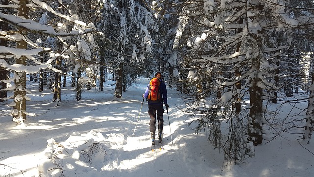 穷乡僻壤Skiiing 黑森林 滑雪 - 上的免费照片