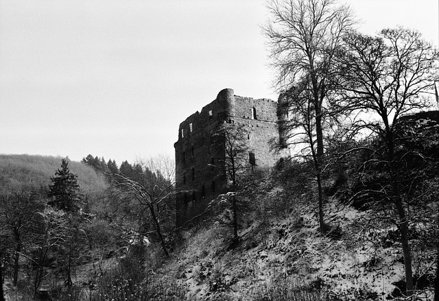 Burgruine Balduinseck 城堡 废墟 - 上的免费照片