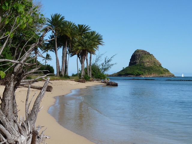 夏威夷 海滩 海岸 - 上的免费照片