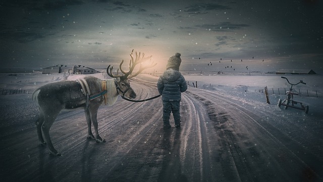 冬季景观 驯鹿 男孩 - 上的免费照片