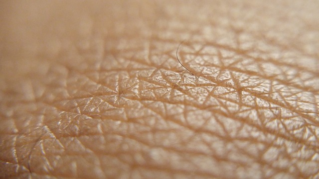 皮肤 古铜色的肌肤 皮肤零距离接触 - 上的免费照片