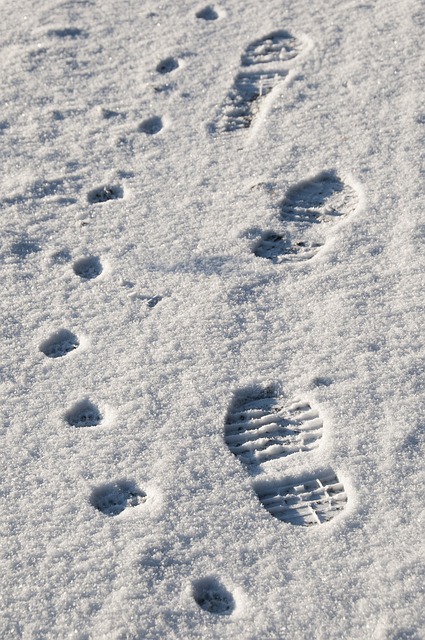 步伐 雪 联系信息 - 上的免费照片