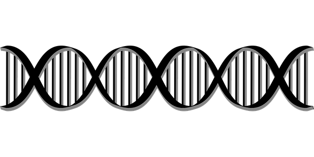 生物学 细胞 蜂窝 - 免费矢量图形