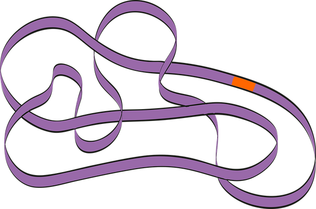 Dna 细菌 钢绞线 - 免费矢量图形