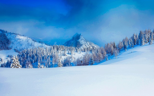 奥地利 冬天 雪 - 上的免费照片
