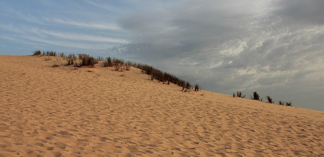 沙丘你Pilat 沙 海 - 上的免费照片