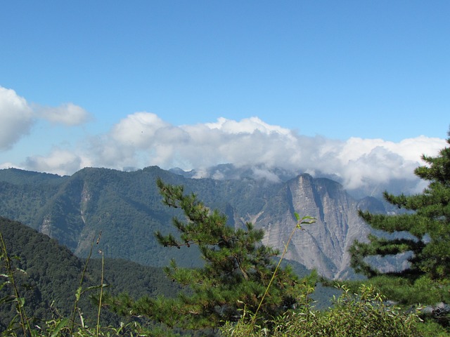 阿里山國家公園 青山 - 上的免费照片