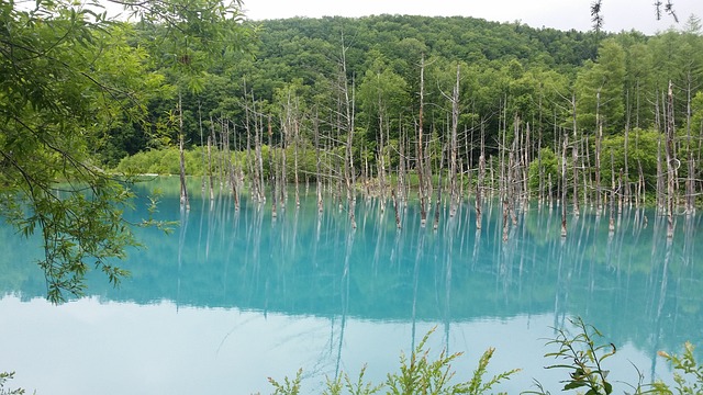 北海道 苍井空艾克 苍井空，Ike湖 - 上的免费照片