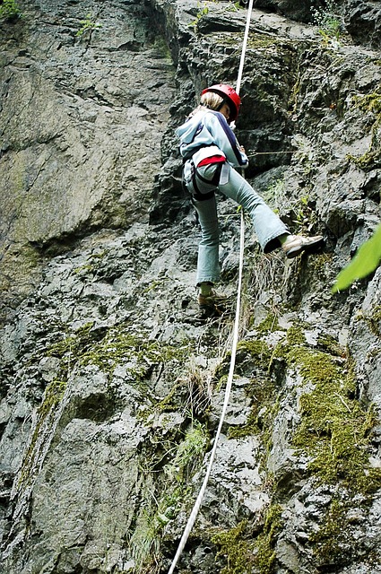 爬 绳降 攀登 - 上的免费照片