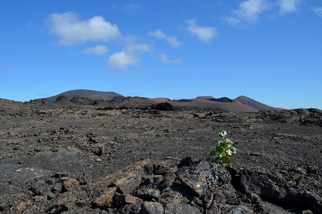 火山 植物 自然 - 上的免费照片