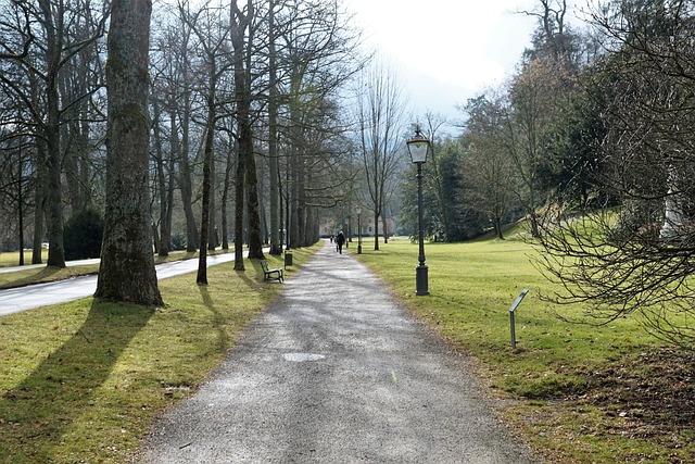 Baden 公园 自然 - 上的免费照片