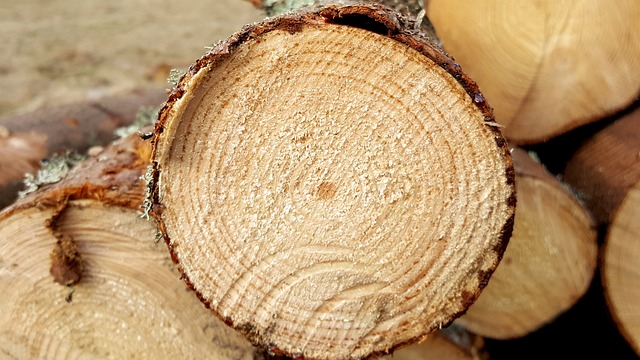 日志 锯开 木材工业 - 上的免费照片