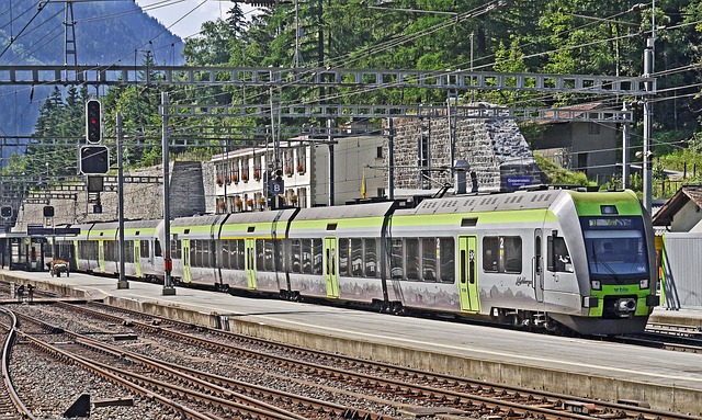 瑞士 洛奇贝格 车站 - 上的免费照片