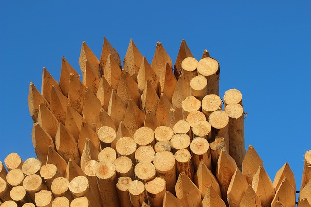 木头 木桩 堆 - 上的免费照片