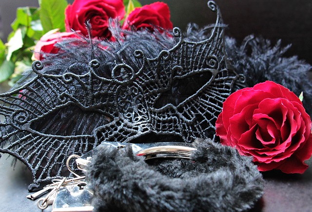 面具 手铐 玫瑰 - 上的免费照片