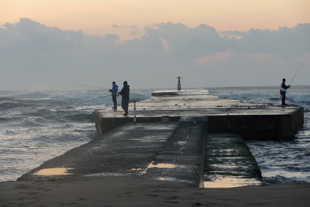 海 堤 日出 - 上的免费照片
