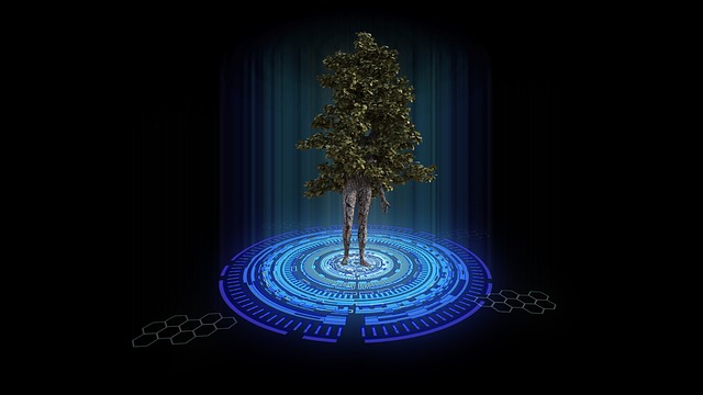 隐形传输 树 自然 - 上的免费图片